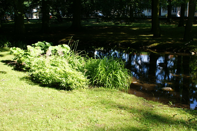 Oliwa