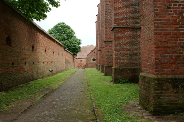 DSC05406