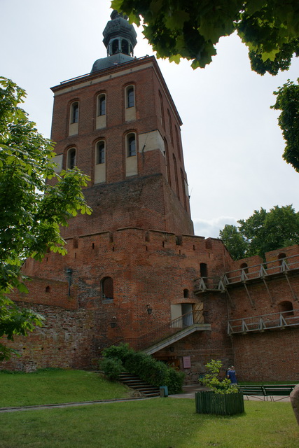 DSC05429