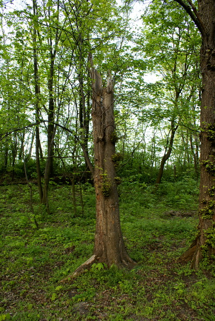 DSC04623