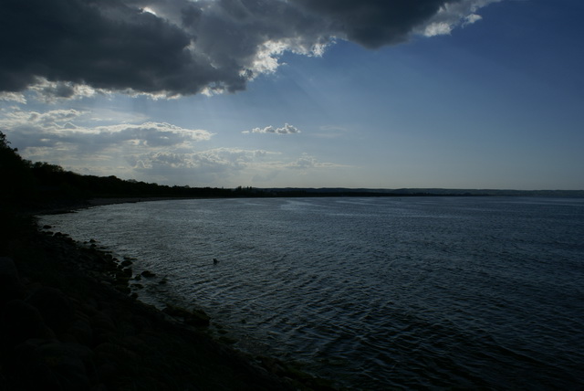 DSC04705