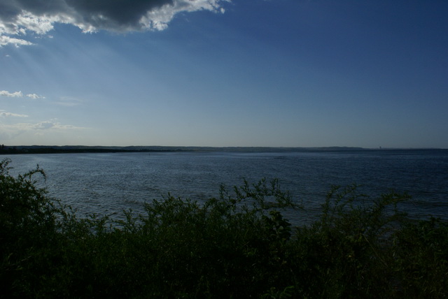 DSC04715