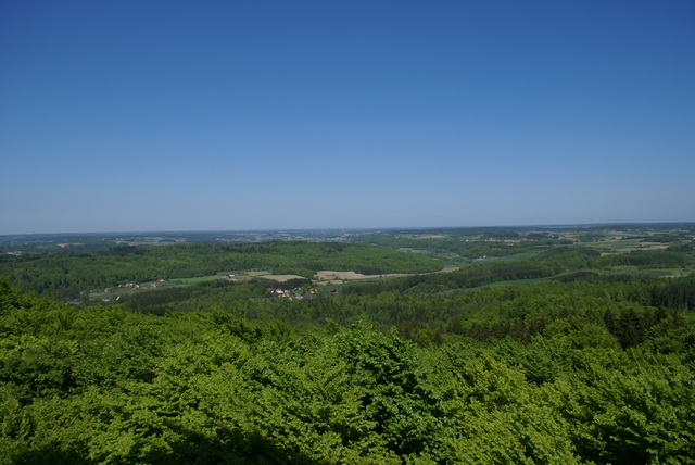DSC04725