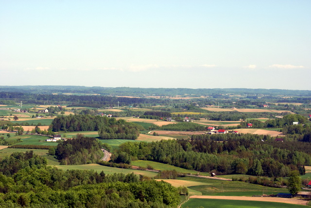 DSC04748