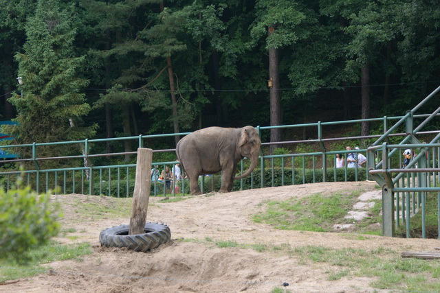 Zoo