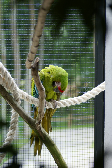 DSC05612