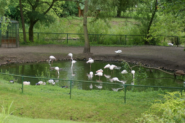 DSC05684