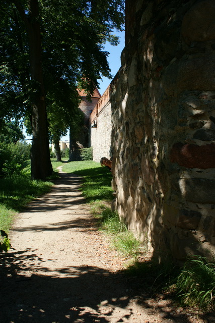 DSC05782