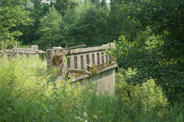 DSC06022