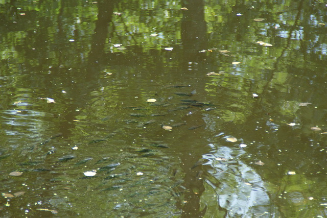 DSC06053
