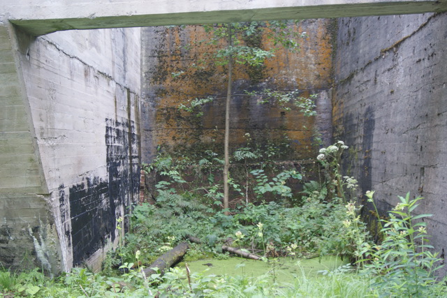 DSC06057