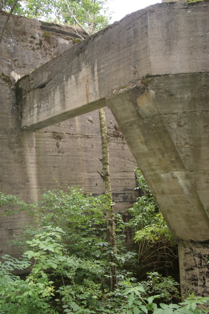 DSC06067