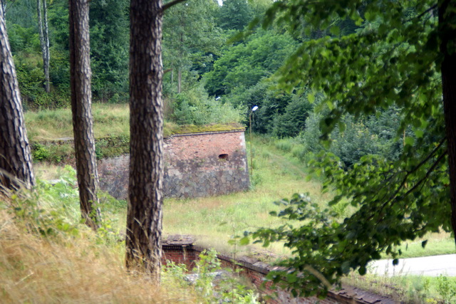 DSC06192