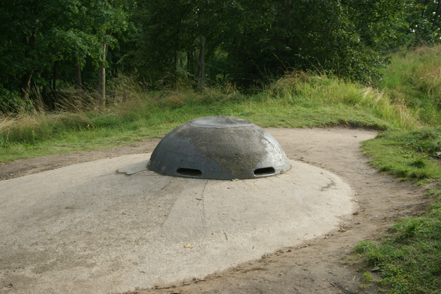 DSC06201