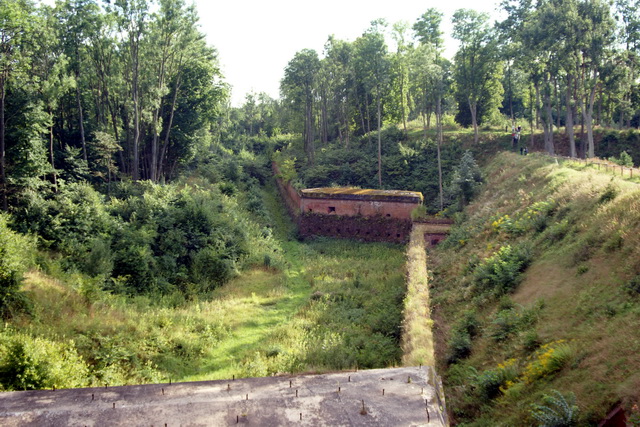 DSC06212