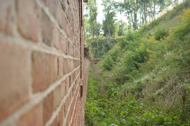DSC06219