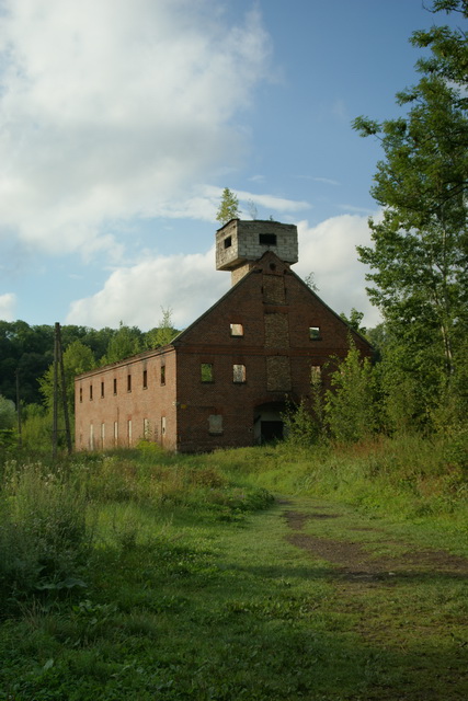 DSC06230