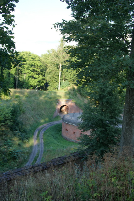 DSC06247