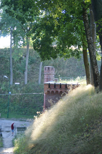 DSC06260
