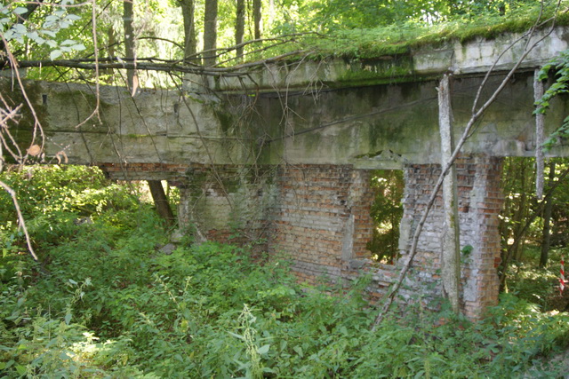 DSC06306