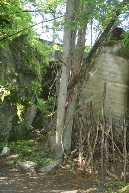 DSC06316