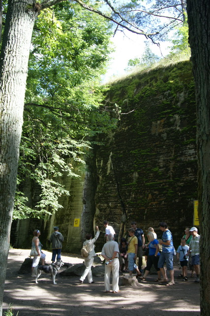 DSC06324