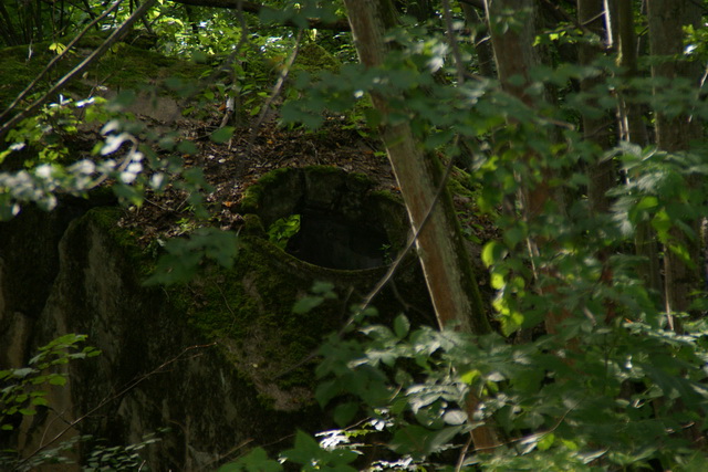 DSC06341