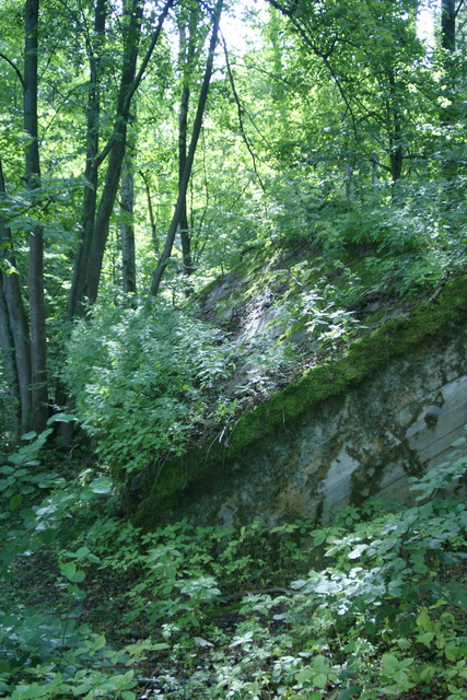 DSC06342