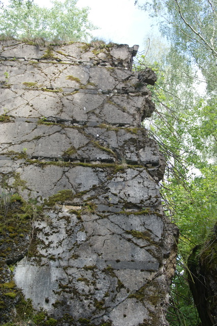 DSC06349