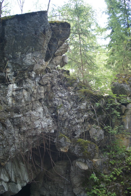 DSC06351