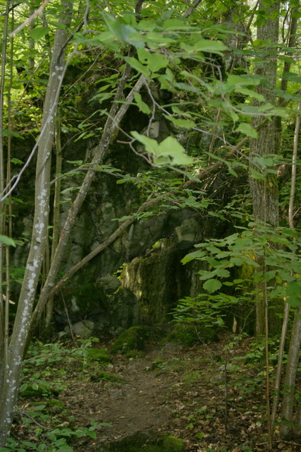 DSC06353