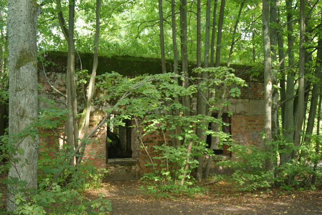 DSC06366