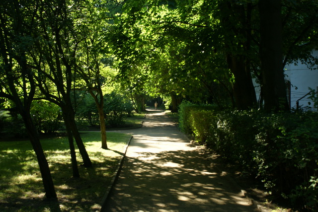 Dsc09244