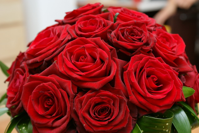 Dsc00366