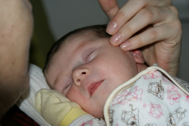 11 Luty 2009