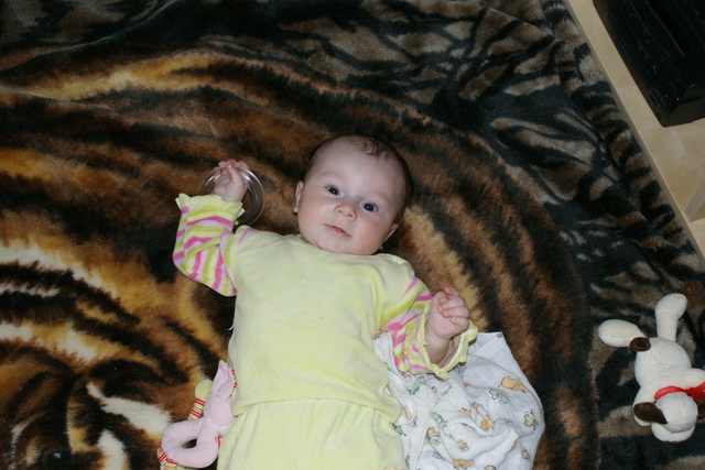 Dsc08297