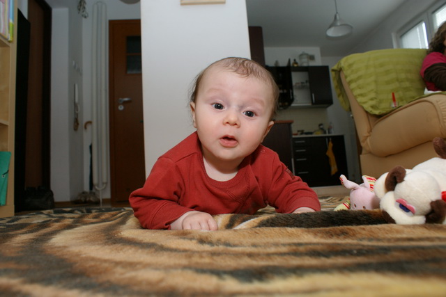 Dsc08586