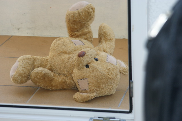 DSC01268