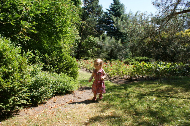 DSC01371