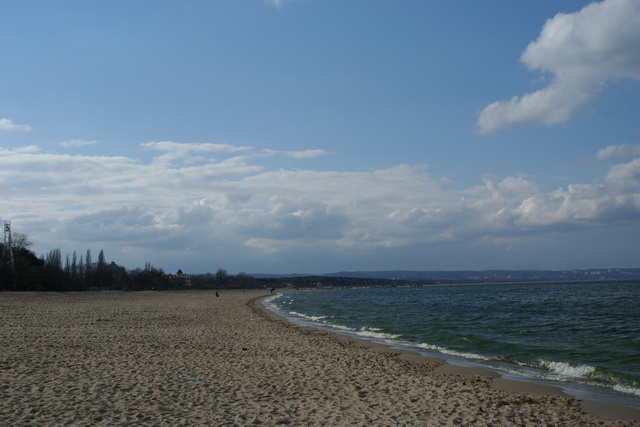 DSC01593