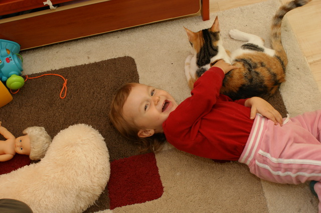 DSC01646