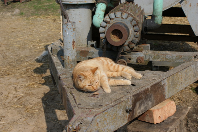 DSC01705