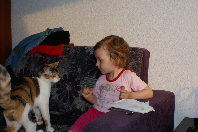 DSC03667
