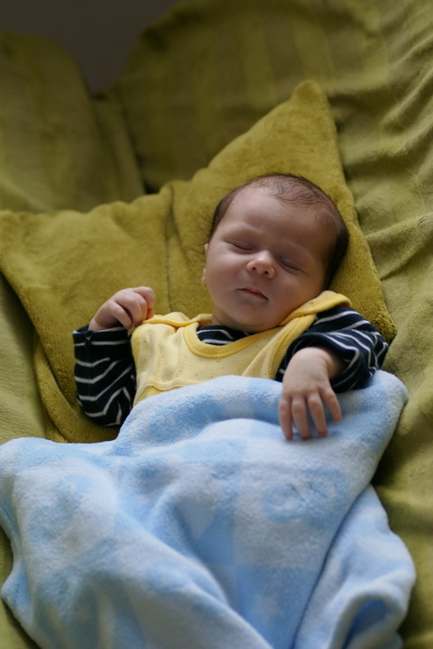 DSC07225
