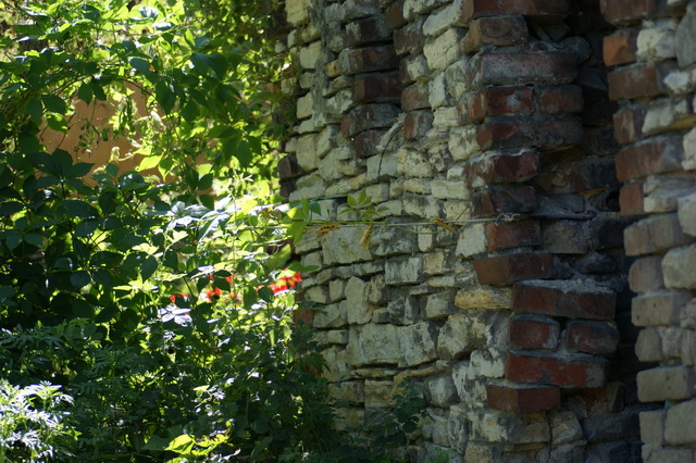 DSC04068