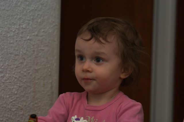 DSC02382