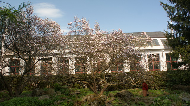 DSC05884