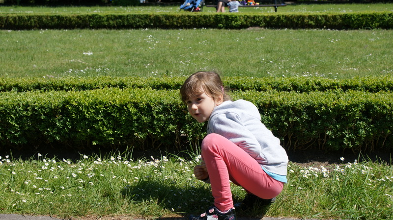DSC00442