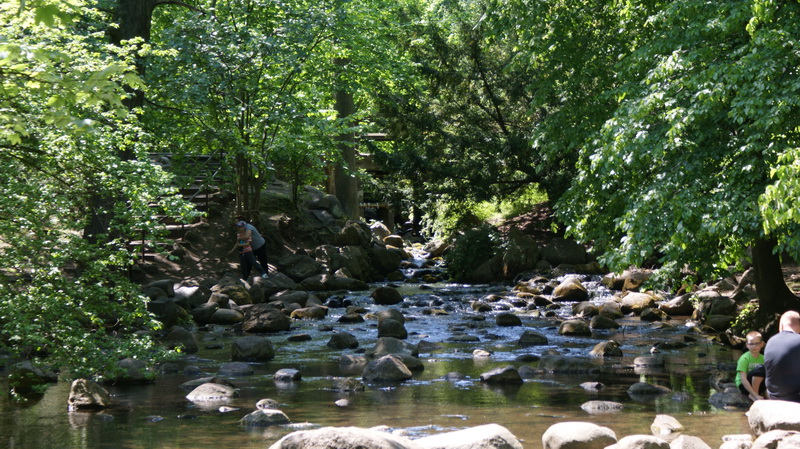 DSC00509