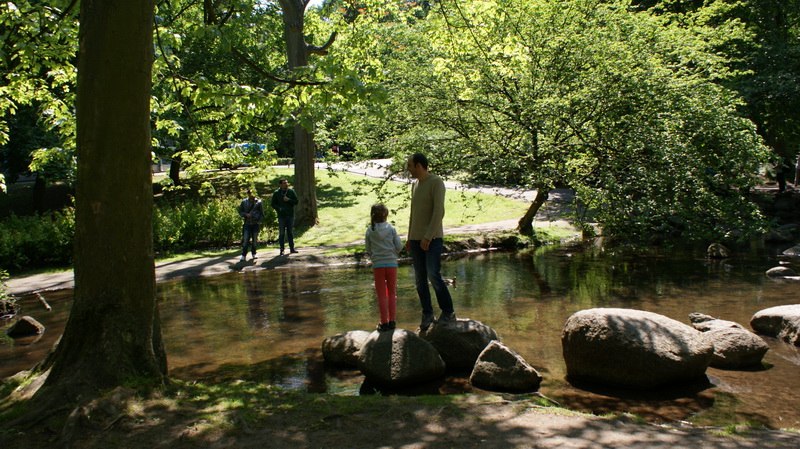 DSC00530